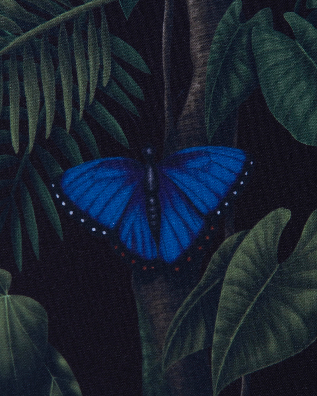 COLLABO PARAF 02 “ SURVIVE ” / NIGHT