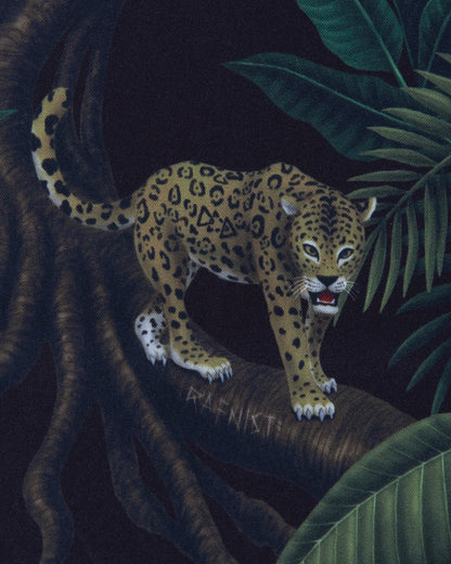 COLLABO PARAF 02 “ SURVIVE ” / NIGHT