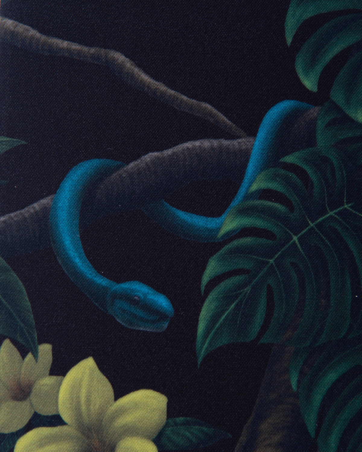 COLLABO PARAF 02 “ SURVIVE ” / NIGHT