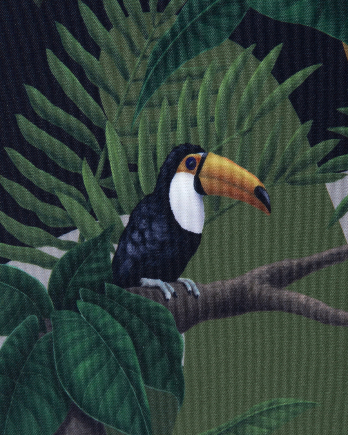 COLLABO PARAF 02 “ SURVIVE ” / SAFARI