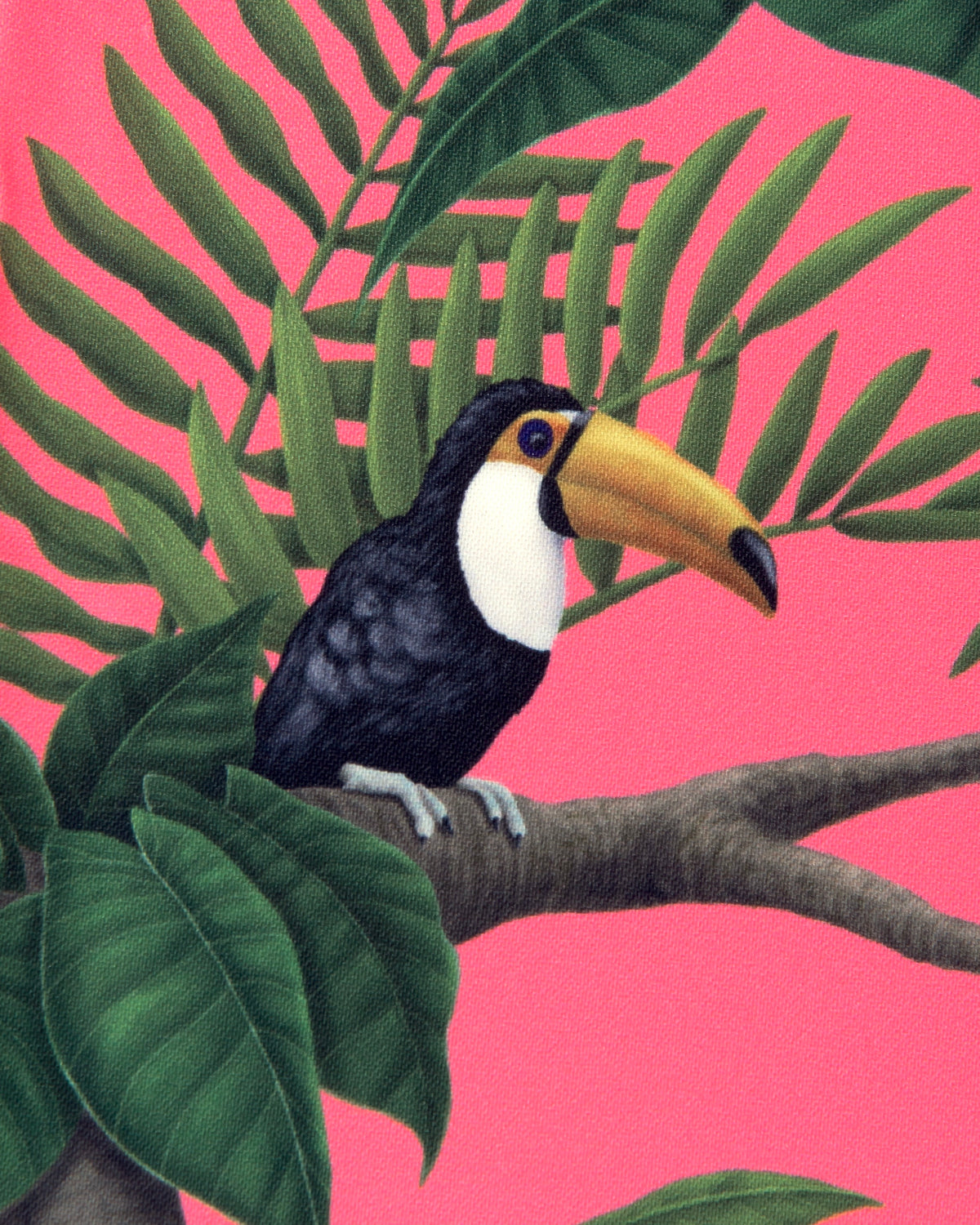 COLLABO PARAF 02 “ SURVIVE ” / SUNSET