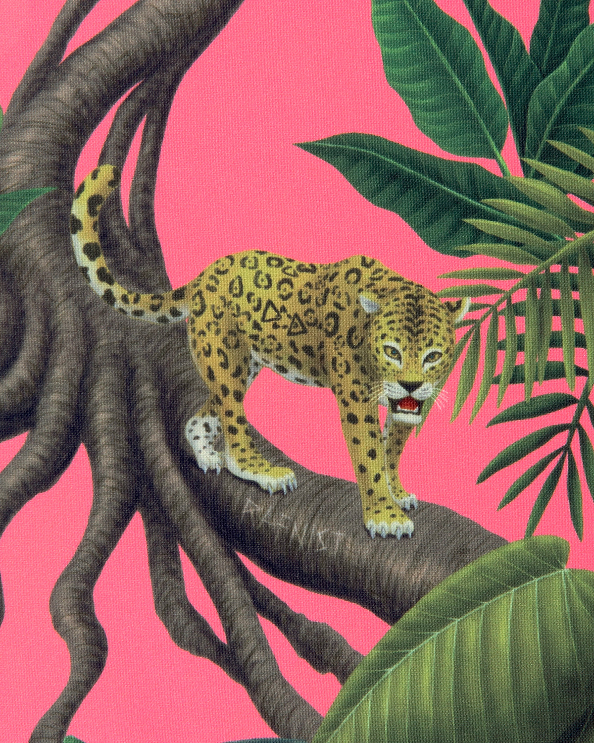 COLLABO PARAF 02 “ SURVIVE ” / SUNSET