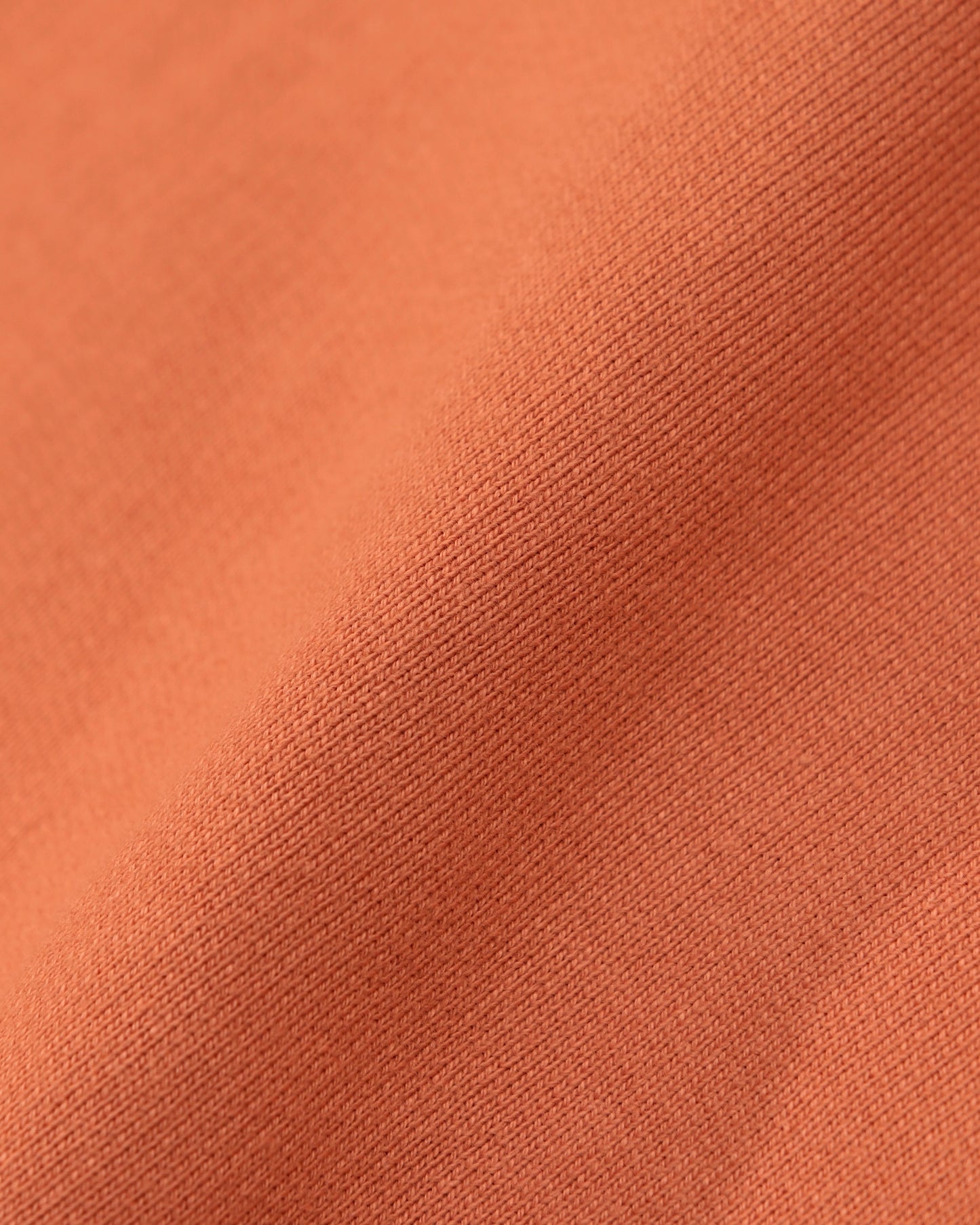 www “ EDGE ” / SALMON PINK